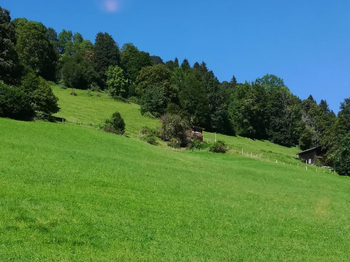 Appartement Maurer Niederau Dış mekan fotoğraf
