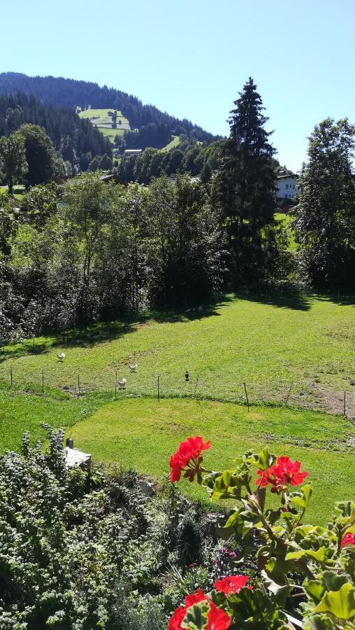 Appartement Maurer Niederau Dış mekan fotoğraf